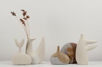 Image 6 of yani jungle