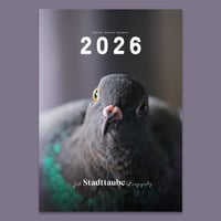 Image 4 of Stadttauben-Kalender 2026 (DIN A4)