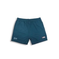 MENS SCRIPT BEACH SHORTS - TEAL