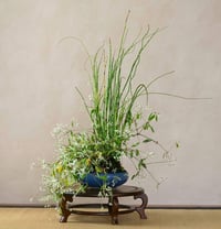 Image 2 of WORKSHOP DI KUSAMONO - L'ARTE DELL'ERBARIO GIAPPONESE