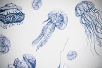 Image 2 of Les méduses/ The jellyfish 