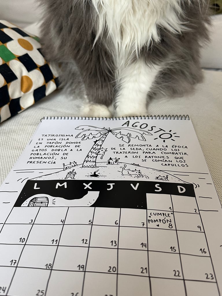 CATLENDARIO 2026 Image 2