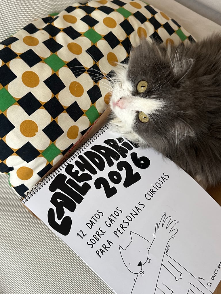 CATLENDARIO 2026