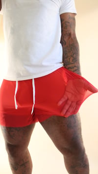 Image 4 of Red transparent shorts