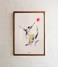 Image 1 of Les hirondelles