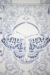 Image 3 of Papillon carte postale/butterfly postcard