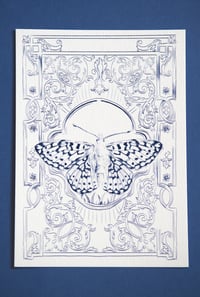 Image 1 of Papillon carte postale/butterfly postcard