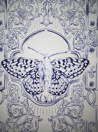 Image 4 of Papillon carte postale/butterfly postcard