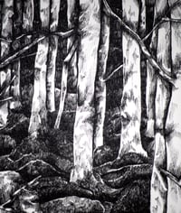 Image 4 of La Fôret/The Forest