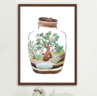Terrarium 