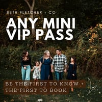 Image 1 of Any Mini VIP Pass