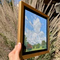 Image 3 of Crepe Myrtle