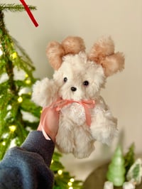 Image 1 of Baby Deer