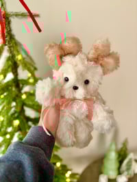 Image 2 of Baby Deer