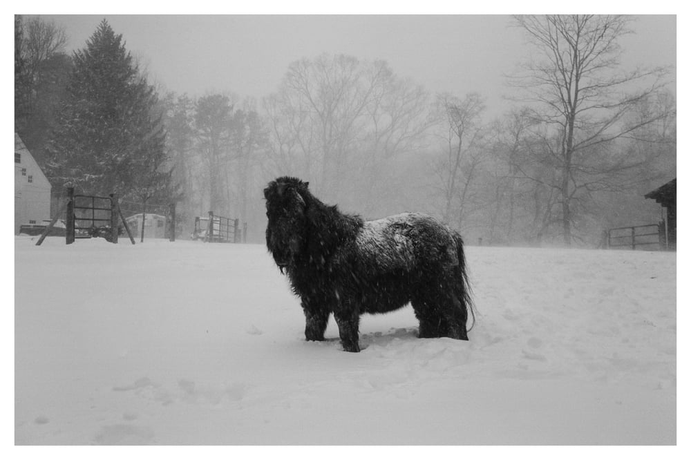 Image of Print 16. "Aunt Lauren's Birthday"