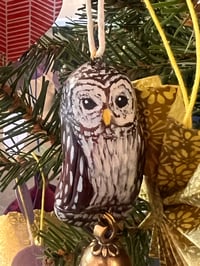 Image 1 of Owl Ornament 2