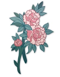 Peonies
