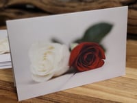 Rose Red