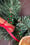 Image of 🎄 Evergreen Elegance & Sparkly Spruce 🎄