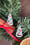 Image of 🎄 Evergreen Elegance & Sparkly Spruce 🎄