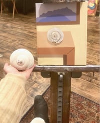 Image 3 of Single Moonsnail Still Life