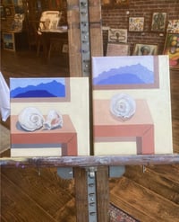 Image 4 of Single Moonsnail Still Life