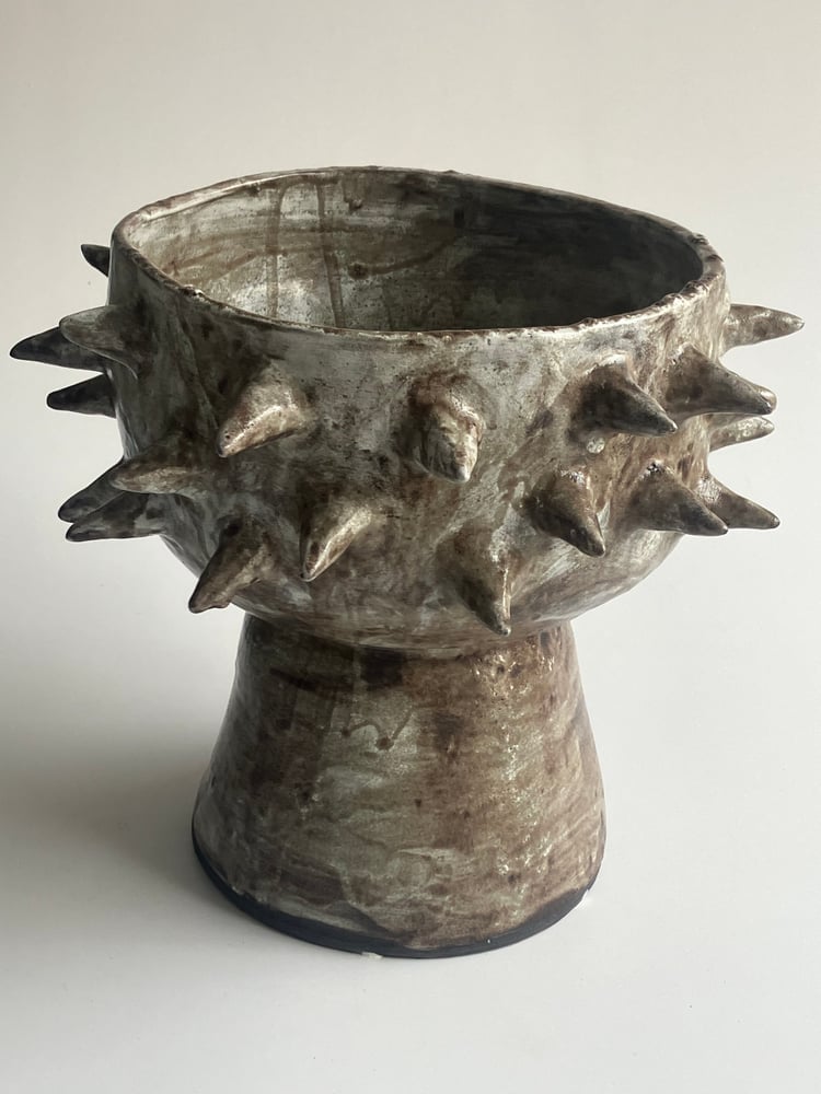 Image of spiky planter 1