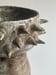 Image of spiky planter 1