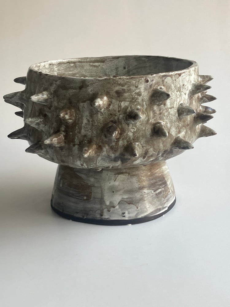 Image of spiky planter 2