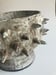 Image of spiky planter 2