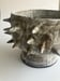 Image of spiky planter 2