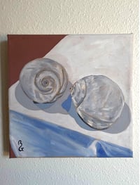 Image 1 of Moonsnail Still Life 