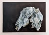 Sheep Skull Study