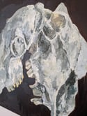 Sheep Skull Study