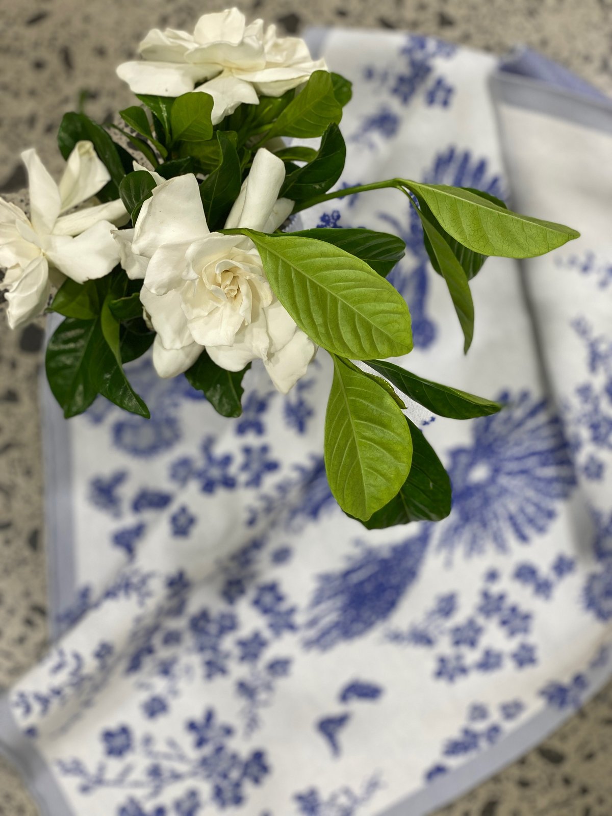 Image of Piwakawaka Set - 100% Cotton