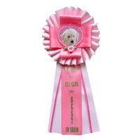 Image 3 of First Place Prize Ribbon 