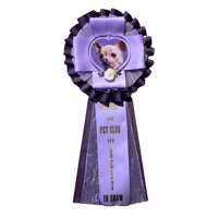 Image 4 of First Place Prize Ribbon 