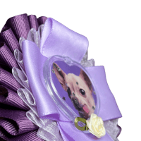 Image 5 of First Place Prize Ribbon 