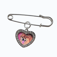 Frame Brooch 