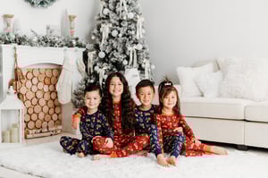 Image of Sunday Dec 7th Holiday Micro Mini Session $150