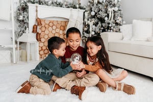 Image of Sunday Dec 7th Holiday Micro Mini Session $150