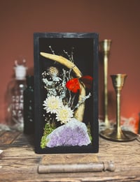 Image 1 of deer antler & butterfly shadowbox