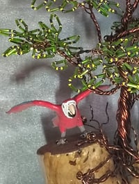 Image 2 of Parrot under Jungle Tree