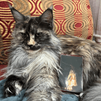 Image 3 of Godot Cassettes