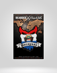 Image 6 of BV NATIONS Patch