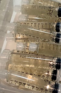 Image 4 of Blue Ghost Liquid Culture 