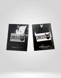 Image 1 of BV VET YEAR PINS