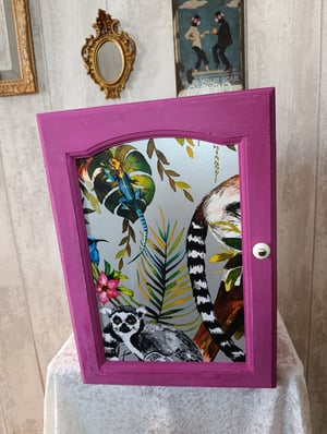 Petite armoire murale ultra colorée 