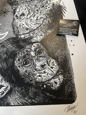 CHIMPANZEE FAMILY x JANE GOODALL