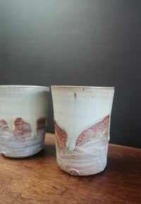 Image 2 of Fluid and dry Beakers